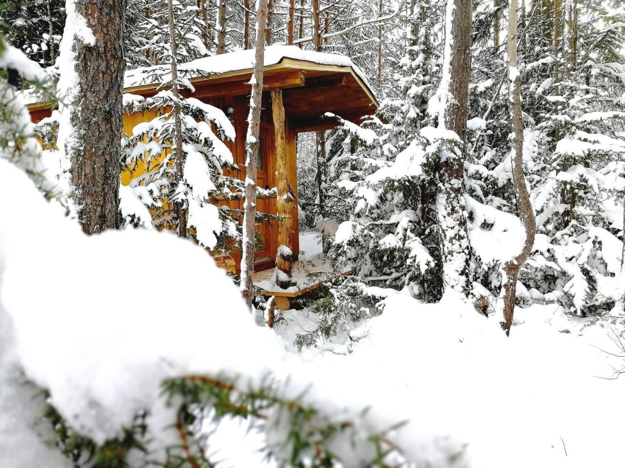 Camping Lechtal Vorderhornbach Екстериор снимка